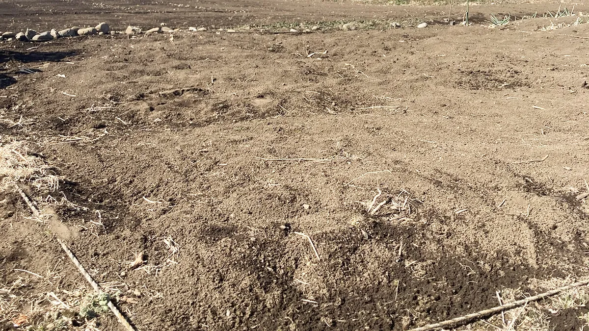 市民農園を借りました｜6×5mの畑、無肥料で始めます