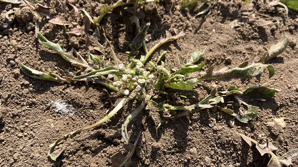 前借主さんに会って分かった、30㎡の市民農園の履歴