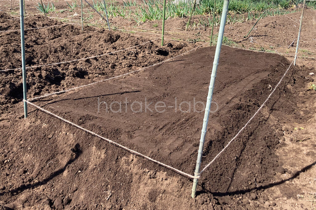 ポールと麻ひもで畝立