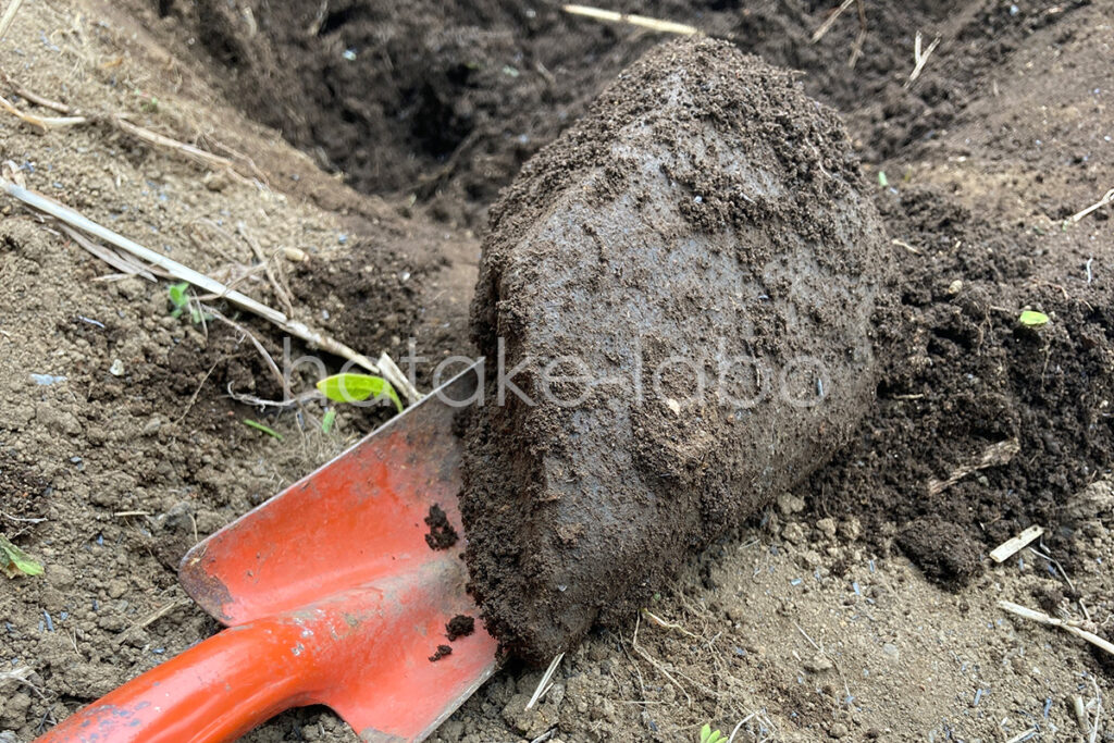 庭から出土の石
